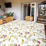 Privat bolig Goscinne 
