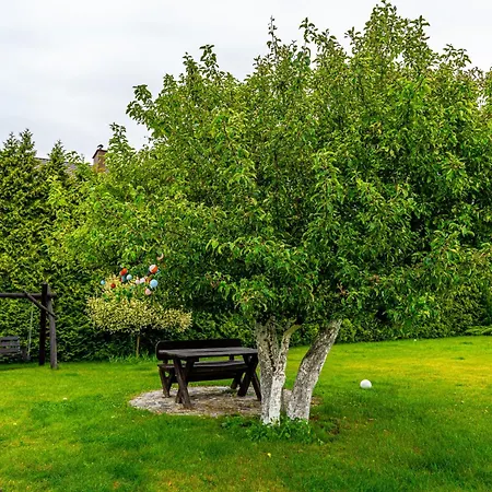 Homestay szállás Goscinne 